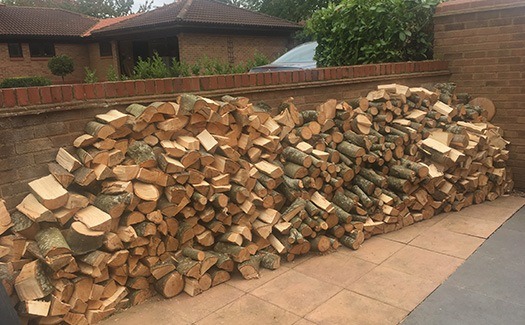 logs made from a felled tree on a domestic property